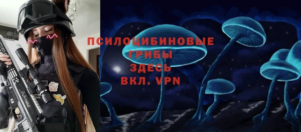 молекула духа Алексин