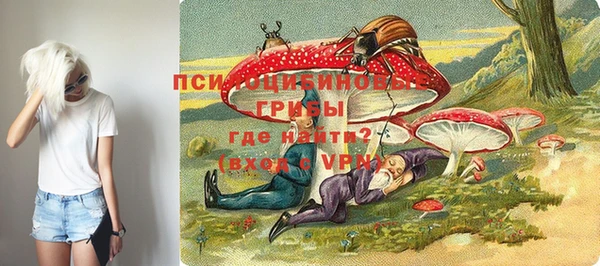 мескалин Покачи